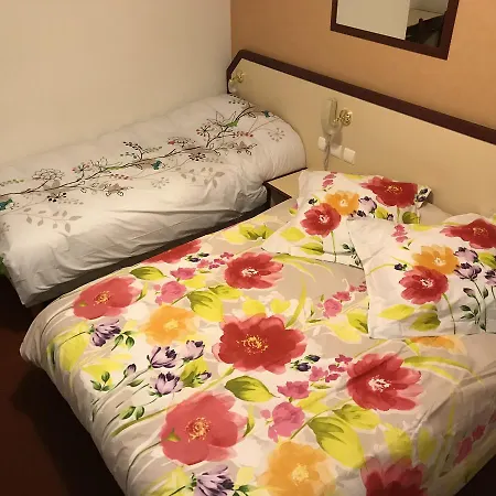 Отель Myosotis 3*