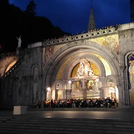 酒店 Myosotis 卢德