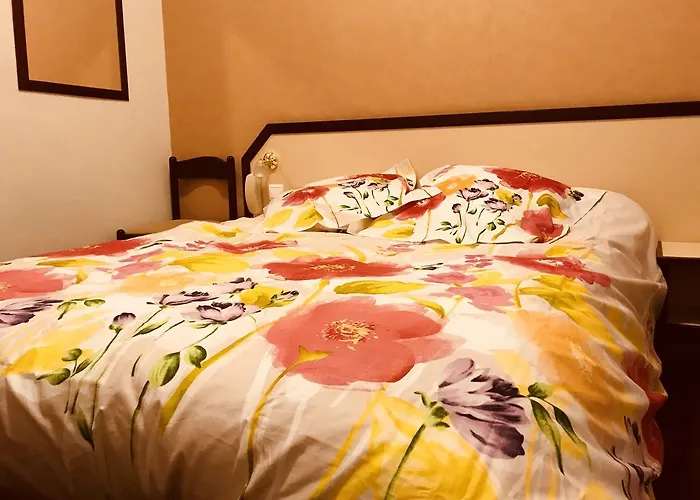 Myosotis Szálloda 3*