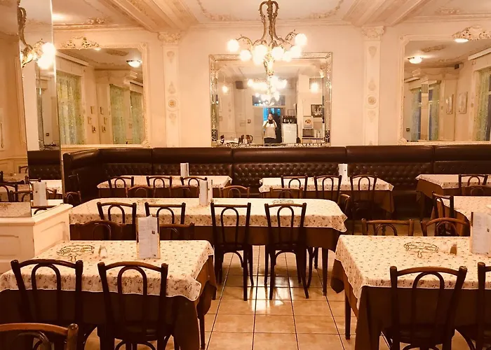 Szálloda Myosotis 3*