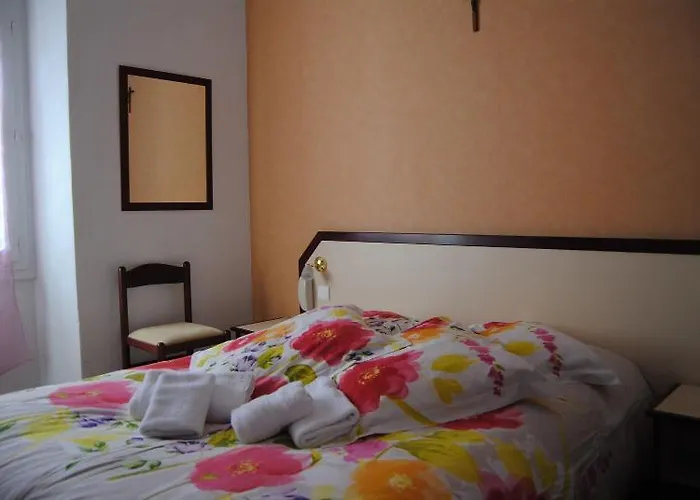 Hotel Myosotis Lourdes