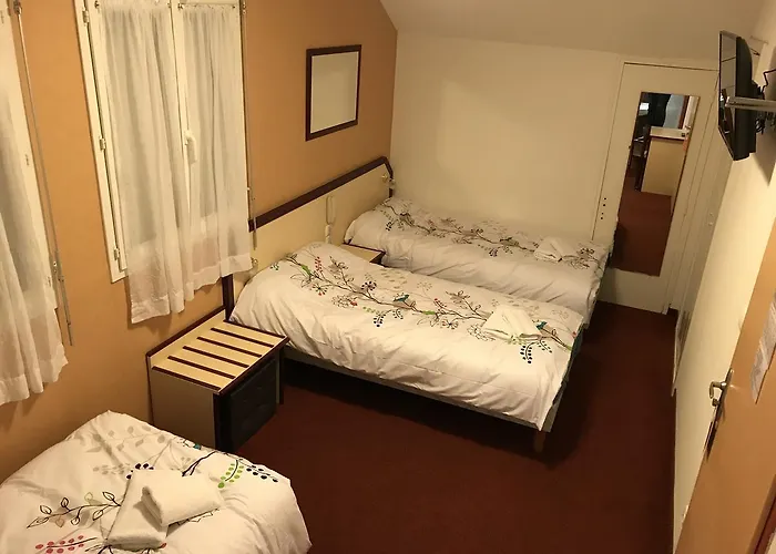 Myosotis Hotel Lourdes