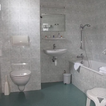 Отель Myosotis 3*