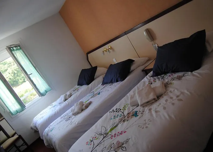 Myosotis Hotel Lourdes