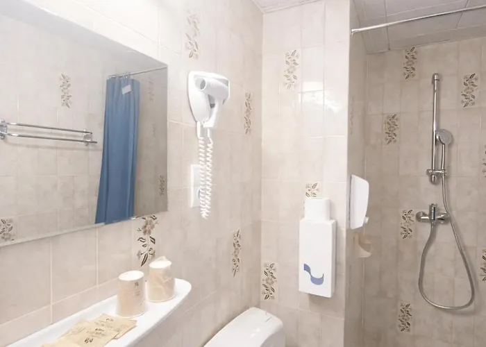 酒店 Myosotis 卢德