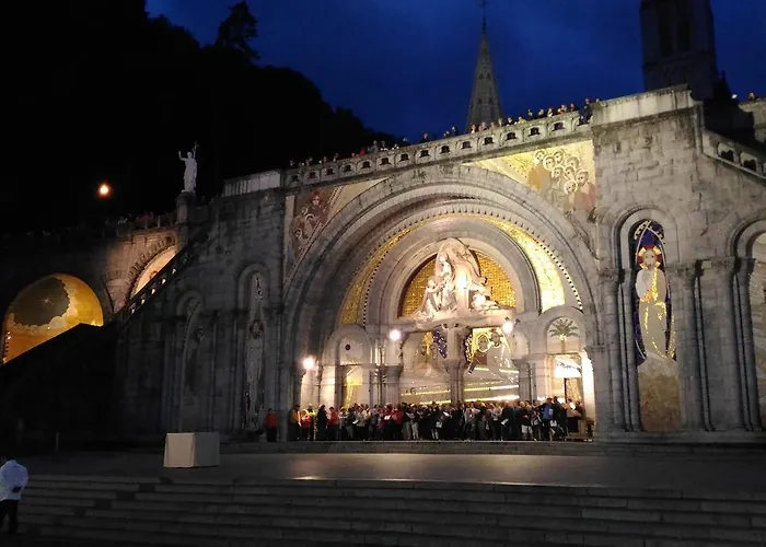 酒店 Myosotis 卢德